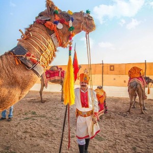 7 Days Rajasthan Tour 7 Days Rajasthan Tour