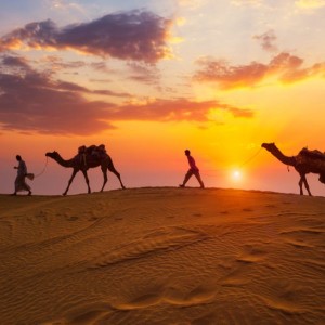 5 Days Jaipur Jodhpur Jaisalmer Desert Tour 5 Days Jaipur Jodhpur Jaisalmer Desert Tour