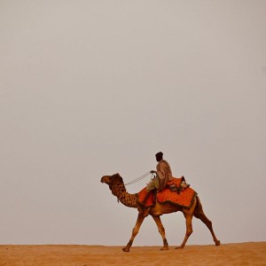 6 Days Rajasthan Tour from Jaipur 6 Days Rajasthan Tour from Jaipur